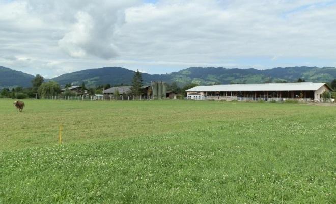 Steigmatt Bauernhof- Erlebnis Villa Montlingen Exteriör bild