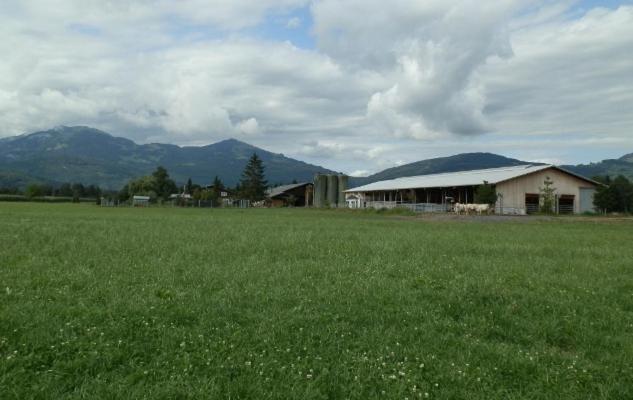 Steigmatt Bauernhof- Erlebnis Villa Montlingen Exteriör bild