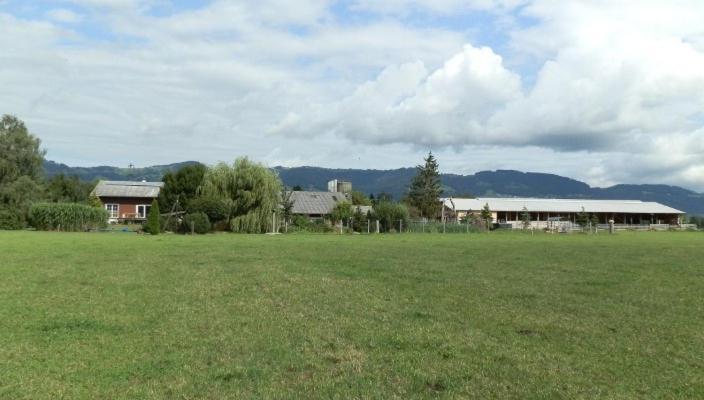 Steigmatt Bauernhof- Erlebnis Villa Montlingen Exteriör bild